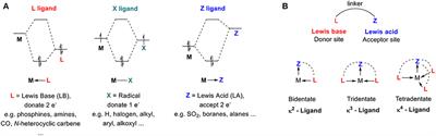 Frontiers Molecular Orbital Insights of Transition Metal